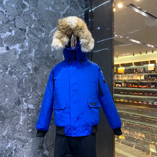 Canada Goose Down Jacket Wmns ID:201911c117